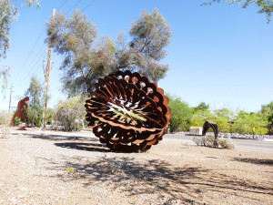 round seed pod1